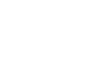 Alpine Landscaping logo white