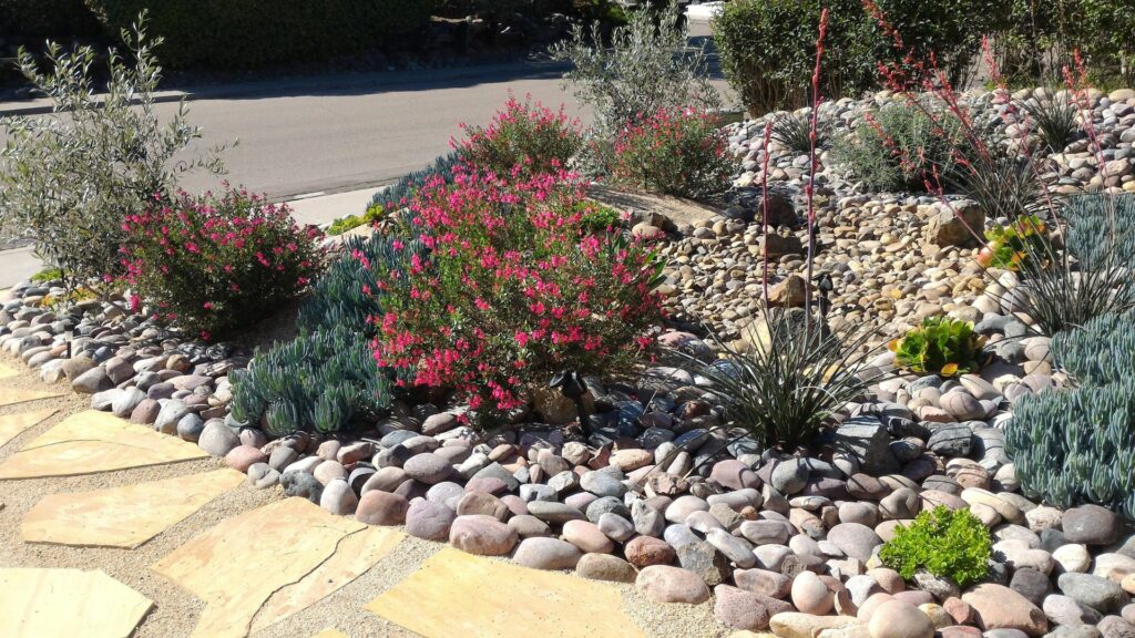 dry creek beds