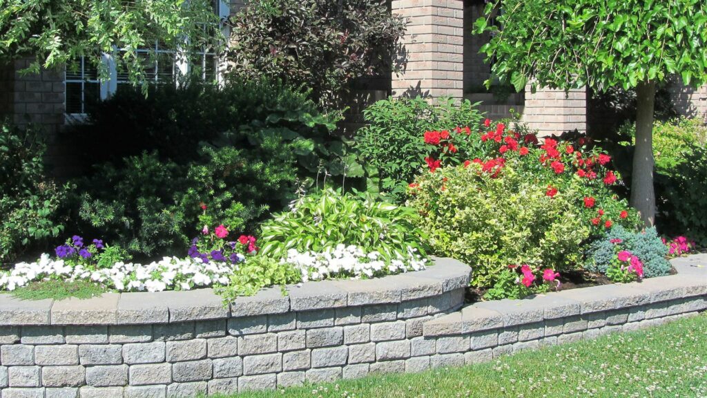 raised garden bed