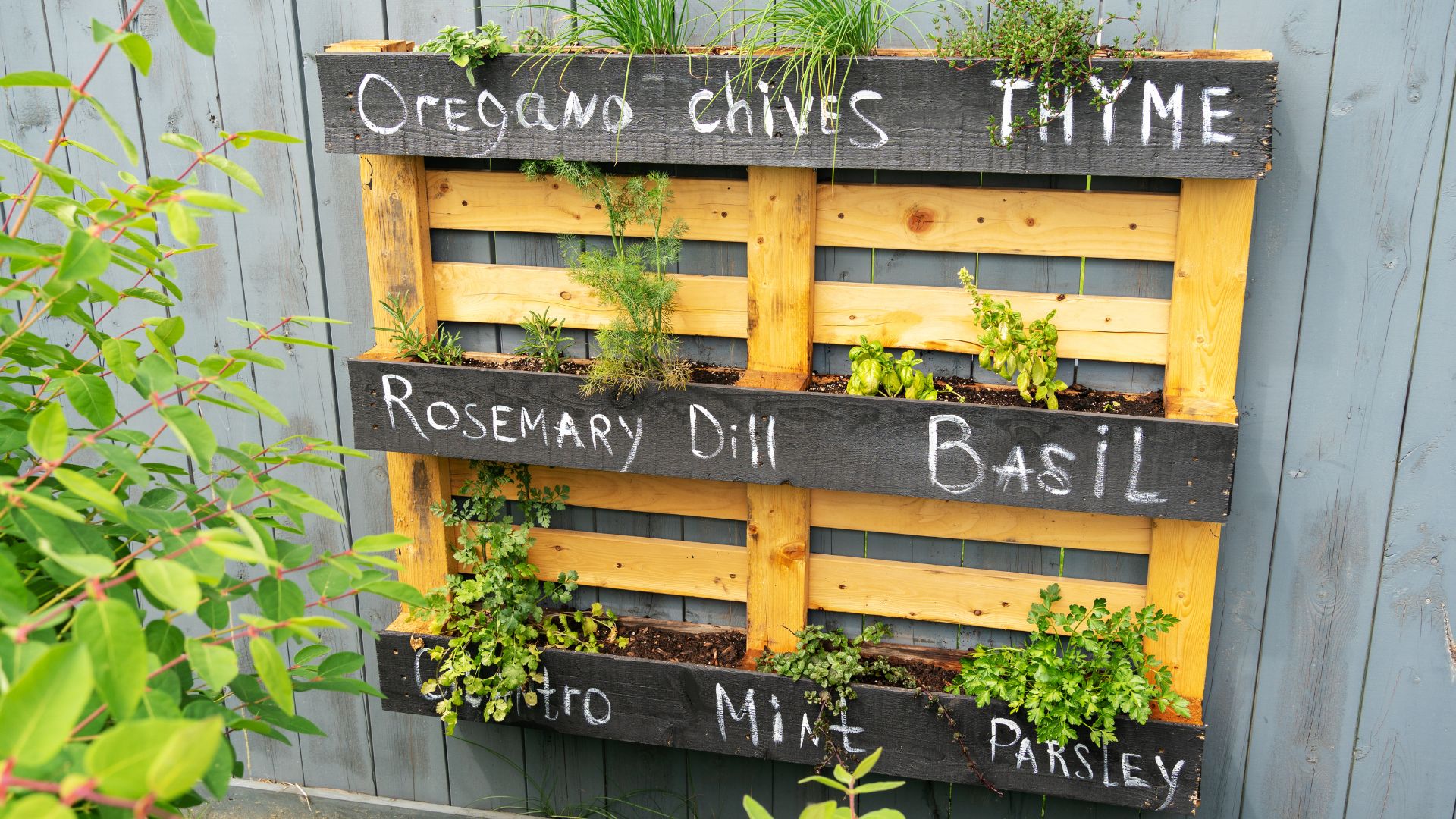 herb garden colorado