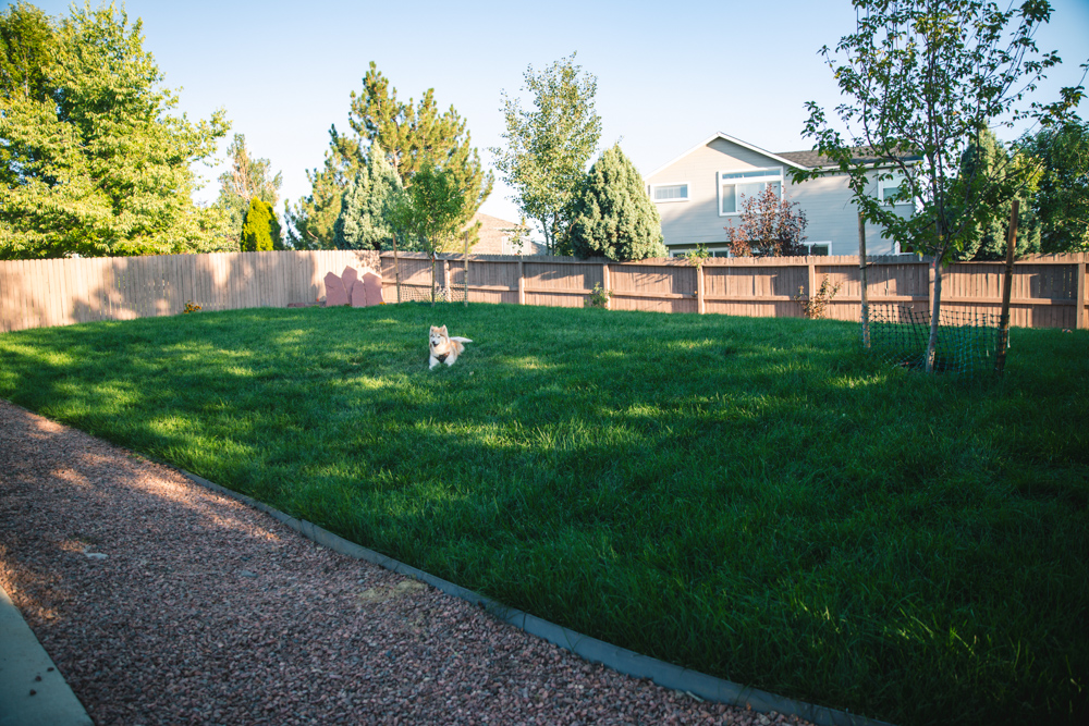 landscaping colorado springs 13