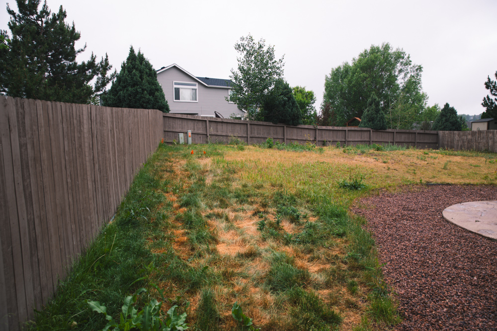 landscaping colorado springs 4