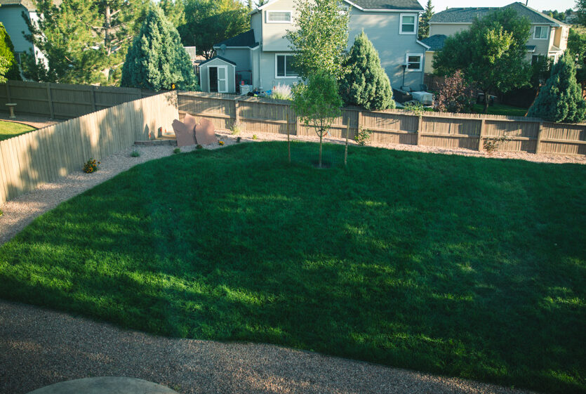 landscaping colorado springs 8