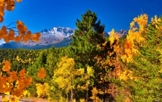 is autumn too late for landscaping colorado