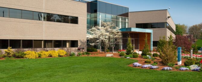 commercial landscaping services