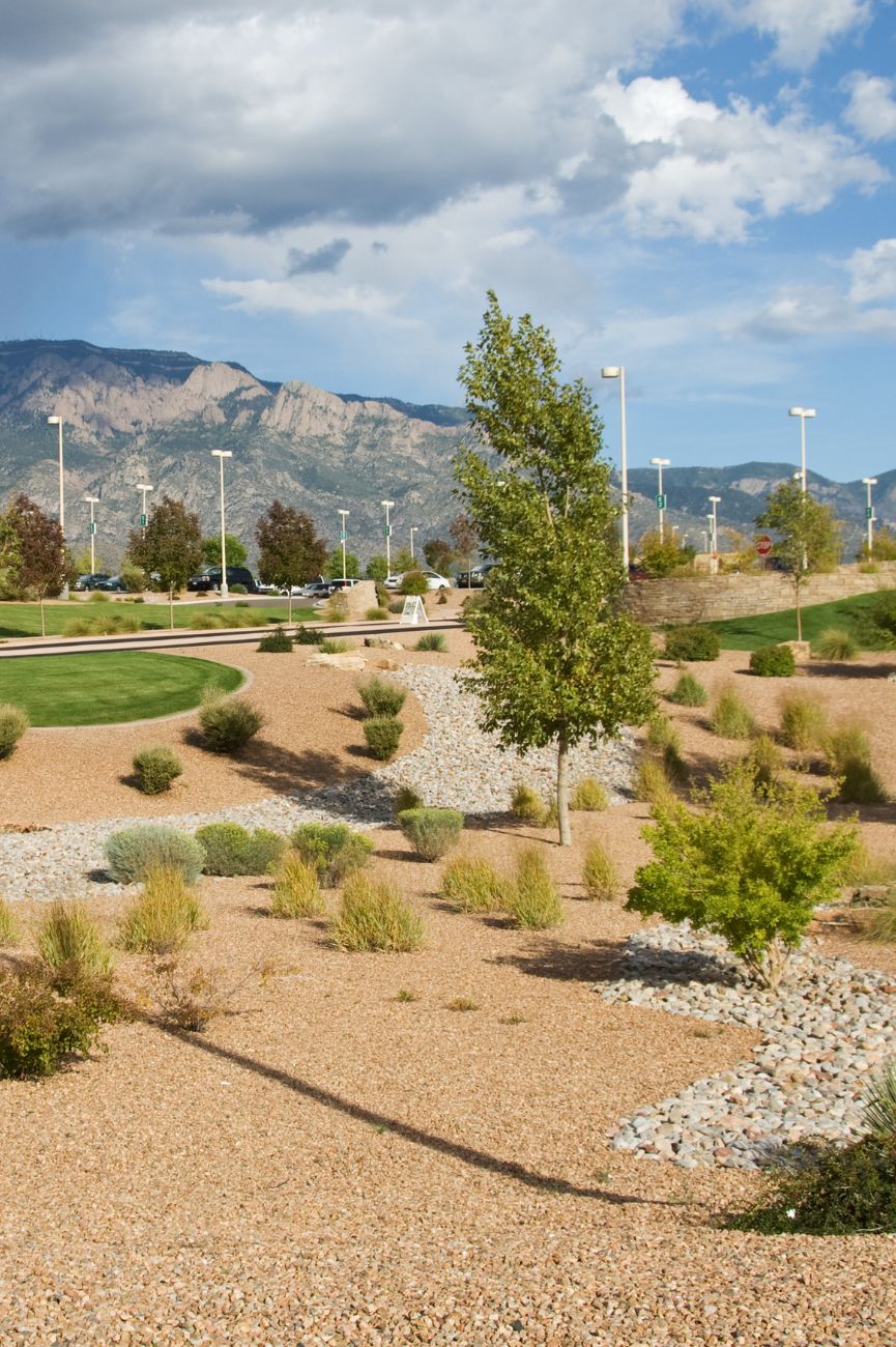 hoa landscaping colorado springs